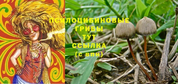 амфетамин Богданович