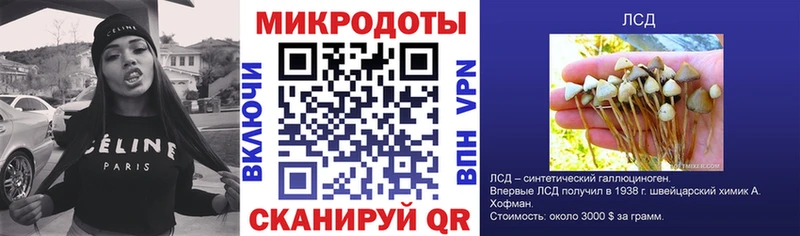 купить наркотики цена  Кологрив  Псилоцибиновые грибы GOLDEN TEACHER 